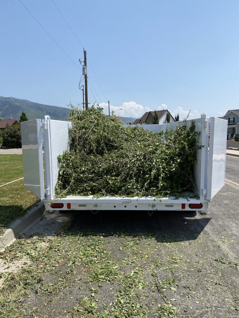 A white 20 yard dumpster parked on a residential street, filled with green tree trimmings and leaves.