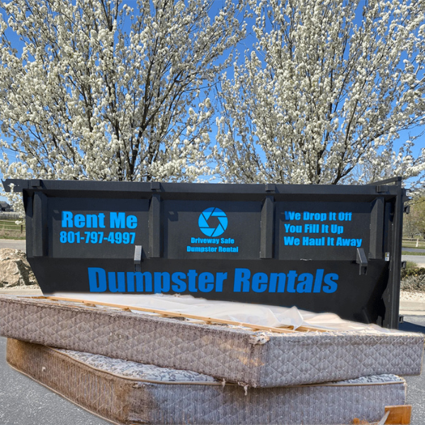 Hazardous materials that cannot be placed in a dumpster rental.